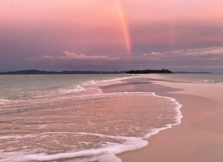 IMG-20250514-WA0052(1)